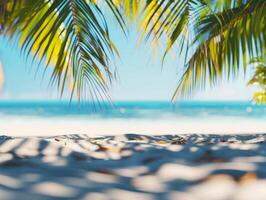 Palm Tree Canopy Over White Sand Beach With Blue Ocean and Sky photo