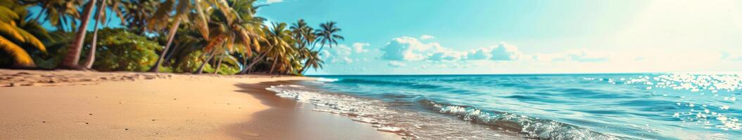 Tranquil Palm-Lined Beach With Blue Water and Sky on a Sunny Day photo