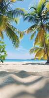 Palm Trees Frame Tropical Beach Scene on Summer Day photo
