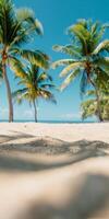 Soft Focus Beach View With Palm Trees on Sunny Summer Day photo