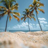 Palm Trees Framing a Tropical Beach Scene on a Sunny Summer Day photo