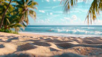 Soft Beach Sand With Palm Trees and Blue Sky photo