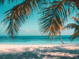 Palm Fronds Framing a Summer Beach Scene photo
