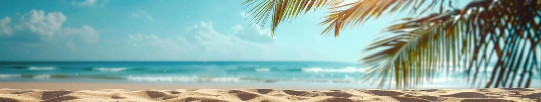 Tropical Beach Palm Tree Background for Summer Vacation photo