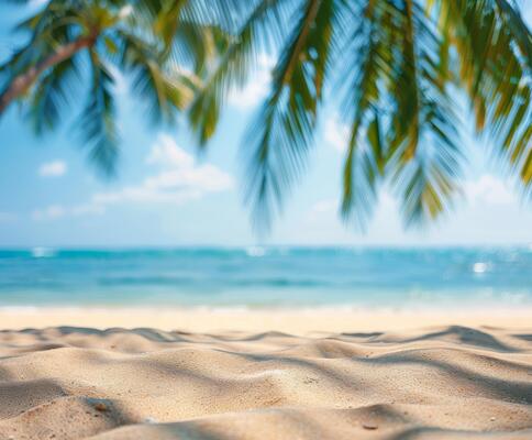 Palm Tree Shade Over Beach Sand On Summer Day