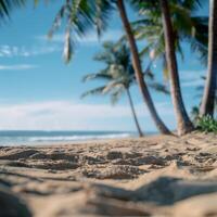 Palm Trees Frame Tropical Beach Scene On Sunny Summer Day photo
