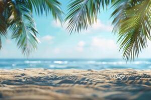 Palm Tree Canopy Over Sandy Beach and Ocean photo