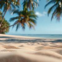 Palm Trees Framing Tropical Beach Sand Under Summer Sun photo