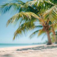 Palm Tree Shade on a Tropical Beach During Summer Vacation photo