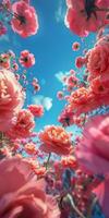 Pink Roses and Peonies Blooming Under a Sunny Sky photo