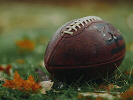 American Football on Grass With Fall Leaves photo
