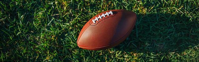 Brown Football On Green Grass Field photo