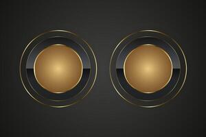 Two rings Premium circle button in round gold frameLuxury circles in realistic shiny metal golden circle ring on isolated on black background vector