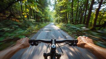 Riding a Bicycle Down a Tree Lined Country Road in Summer. POV photo, first person perspective photo