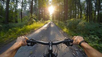 Riding a Bicycle Down a Tree Lined Country Road in Summer. POV photo, first person perspective photo