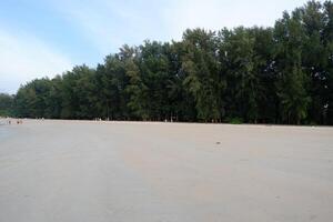 a sandy beach with trees and people walking on it photo