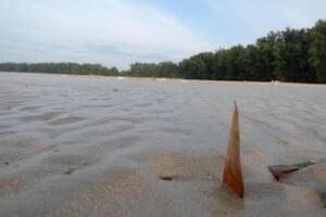 a small stick is sitting on the sand photo