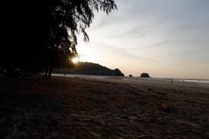 a beach with a tree in the foreground and the sun setting behind it photo