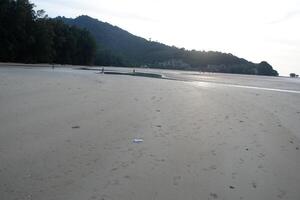a person is flying a kite on a beach photo