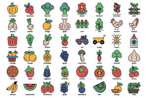 A collection of fruits and vegetables with a variety of colors and shapes vector