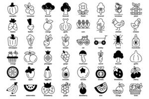 A collection of fruits and vegetables are shown in a black and white image vector