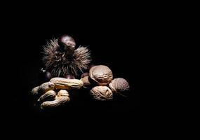 dried fruit, nuts, peanuts and chestnuts photographed with the light painting technique photo