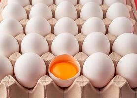 Row of white eggs and single broken egg with a yolk photo