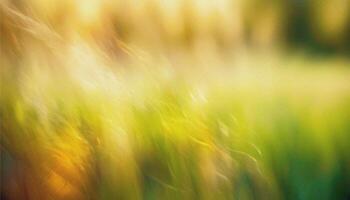 abstract blurred green and yellow grass . soft elegant Nature background with delicate grane and soft lighting. for design, wallpaper, branding, presentations, promotional materials. High quality photo. photo