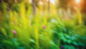 abstract blurred green grass field with wild flowers. soft elegant Nature background with delicate grane and soft lighting. for design, wallpaper, branding, presentations, promotional materials. High quality photo. photo