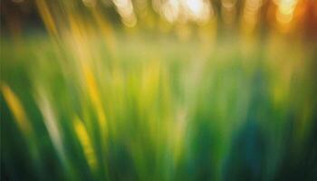 abstract blurred green and yellow grass . soft elegant Nature background with delicate grane and soft lighting. for design, wallpaper, branding, presentations, promotional materials. High quality photo. photo