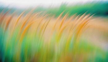 abstract dynamic blurred green and yellow grass and plants. soft elegant Nature background with delicate grane and soft lighting. for design, wallpaper, branding, presentations, promotional materials. High quality photo. photo