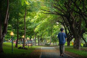 Asian boy walking with holding book on a park road view from behind on a natural trees and sunlight background and exercise equipment at outdoor parks, Concept of education and sustainability. photo