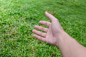 Hand on grass background, various hands, hand symbols, soft sun background, body language,body, organ,human hands, close up,top view,touch nature. photo