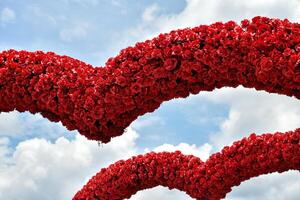 Cylindrical red rose arch resembles a heart shape on sky over cloud background for love and valentine' day concept. photo