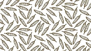 vintage Chili pattern for packaging design. chili peppers pattern background. vintage chili pepper seamless pattern background. doodle Spicy Pepper pattern. vector