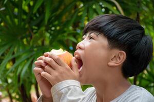 Boy is about to eat an apple with his mouth wide open for the concept of food stuck in the throat on a blurry green forest background. Man opens mouth wide to bite apple. photo