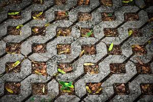 Close-up of paving bricks or paving stones with a modern square shape and a mix of grass and leaves used for site and walkway design. photo