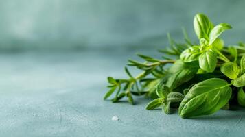 Fresh Green Herbs On Teal Background With Copy Space. photo