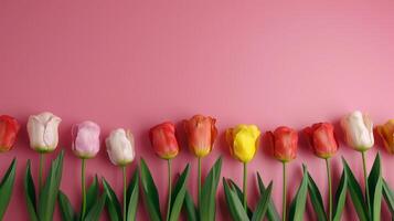 Colorful Tulips Row On Pink Background, Floral Border With Copy Space. photo