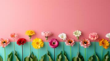 Colorful Floral Arrangement on Pink and Green Background with Copy Space. photo