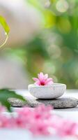 Spa Treatment with Flower in White Bowl on Grey Stones and Blurred Green Background. photo