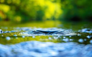 Close Up Of Water Ripples With Blurred Green Background. photo