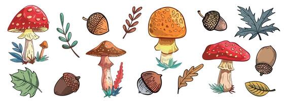 Collection of mushrooms, leaves and acorns. Autumn set of elements for various designs. Bright autumn concept. vector