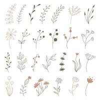 Floral collection with leaves, flower bouquets. flowers. Spring art print with botanical elements. Scandinavian style. vector