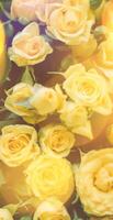 bouquet of yellow roses in sunlight - springtime, mother's day and holiday concept photo