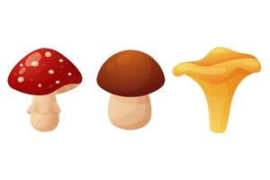 A set of autumn elements. Mushrooms, boletus, fly mushroom and chanterelle. Isolated on white background. vector