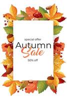 Autumn Sale background, banner, or flyer design. With a frame of leaves, mushrooms. Template for your discount design. vector