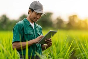 Young farmer using AI powered software on a tablet for crop yield optimization in a sunlit rice paddy photo