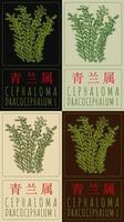 Set of drawing CEPHALOMA in Chinese in various colors. Hand drawn illustration. The Latin name is DRACOCEPHALUM L. vector