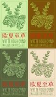 Set of drawing WHITE HOREHOUND in Chinese in various colors. Hand drawn illustration. The Latin name is MARRUBIUM VULGARE L. vector